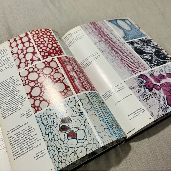 👑Vintage 1980 Biological Structures Atlas Krommenhoek Sebus Esch Hardcover - Picture 12 of 14